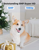 Indoor Security Camera, Reolink 5MP Super HD Plug-in WiFi Camera with Pan Tilt Zoom/ Motion Alerts, Ideal for Baby Monitor/ Pet Camera/Home Security, Dual Band WiFi, Multiple Storage Options, E1 Zoom