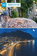 Reolink Wireless Outdoor Security Camera Rechargeable Battery-Powered, 1080P HD Night Vision, 2-Way Talk, PIR Motion Sensor, Siren Alert, Support Cloud Storage/SD Socket, Argus Pro